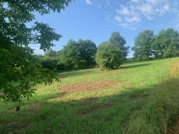 Beau et grand terrain