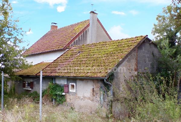 Calme absolu , sans vis à vis sur 5000 M2 de terrain