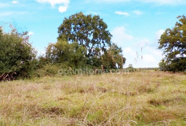 Calme absolu , sans vis à vis sur 5000 M2 de terrain