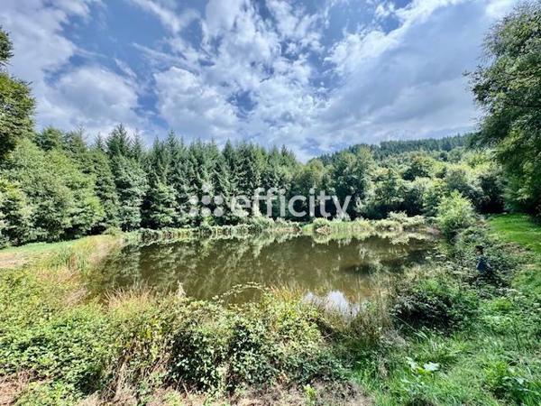 Maison 8 pièces - 306 m² Bien prestige