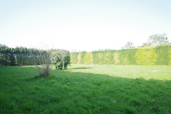 Dompierre-sur-Mer (17139) Terrain à batir de 391 m2 environ
