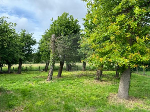 Terrain  en vente - Charente-Maritime - 17