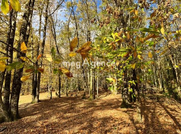 Terrain à Périgueux, 24000 - 4400m²