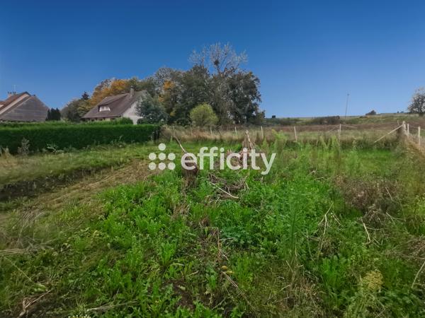 Terrain - 336 m² Exclusivité efficity