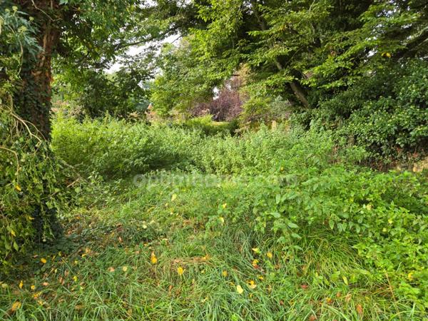 Maison à vendre 5 pièces CHAROLLES (71)