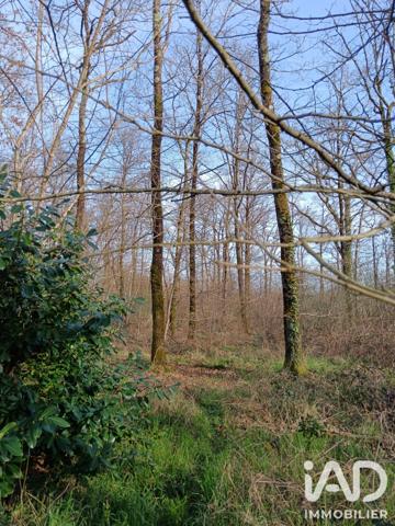 Terrain à vendre 24 045 m² Sainte-Gemme