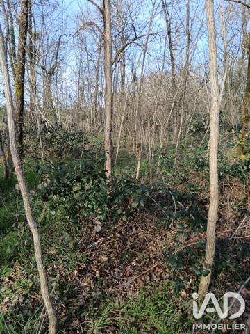 Terrain à vendre 24 045 m² Sainte-Gemme