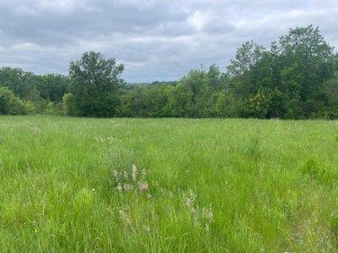 Terrain à Batir à vendre à Verteillac en Dordogne (24320), ref : 077/1724