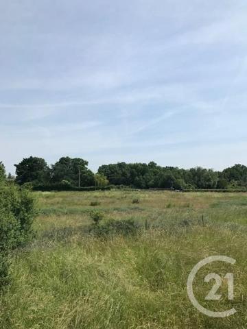 terrain à vendre 540 m2 ROMANECHE THORINS - 71