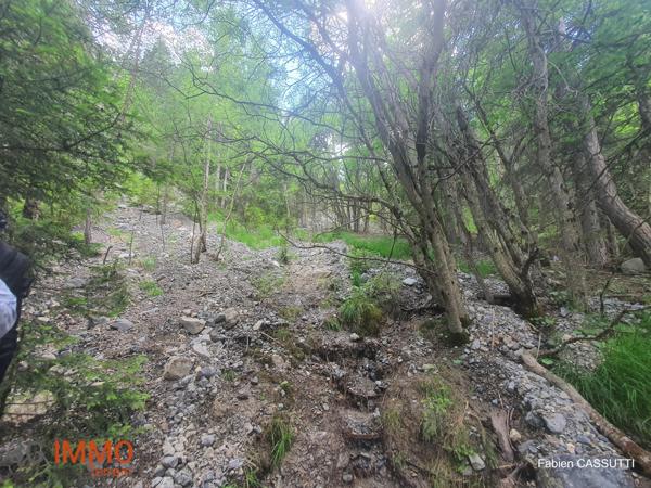 Vente / Terrain de loisirs