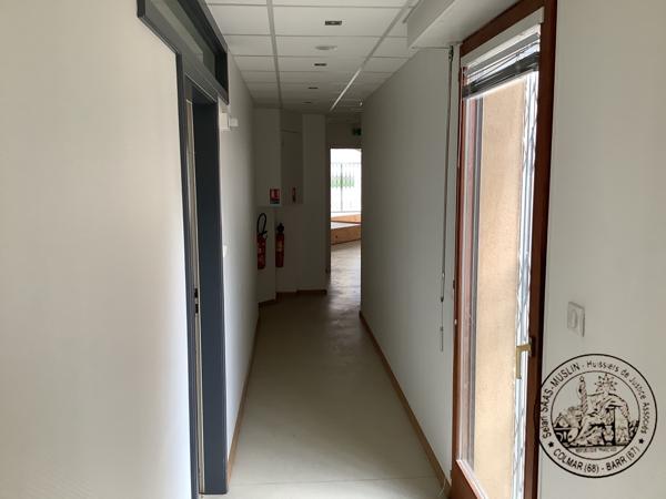 GRAND LOCAL COMMERCIAL A COLMAR
