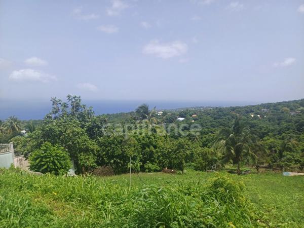 Terrain à vendre de 1 000,00 m² proche de Baillif (971)