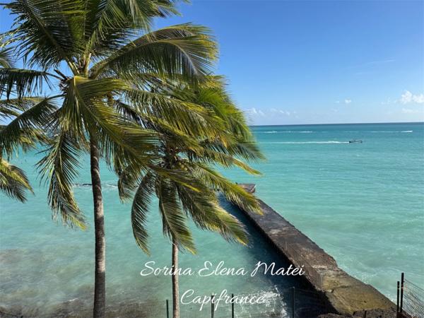 Appartement T2 coup de cœur – Vue mer exceptionnelle et accès direct à la plage