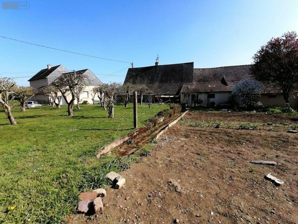 Maison à vendre à Pont-Péan en Ille-et-Vilaine (35131), ref : 35129-6403