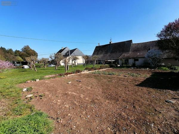 Maison à vendre à Pont-Péan en Ille-et-Vilaine (35131), ref : 35129-6403