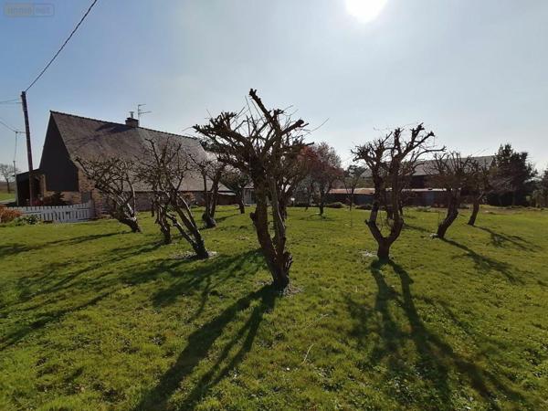 Maison à vendre à Pont-Péan en Ille-et-Vilaine (35131), ref : 35129-6403