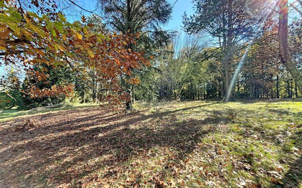 Maison à vendre    7 pièces •  Pinas