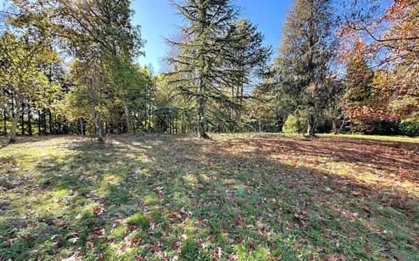 Maison à vendre    7 pièces •  Pinas