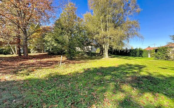 Maison à vendre    7 pièces •  Pinas