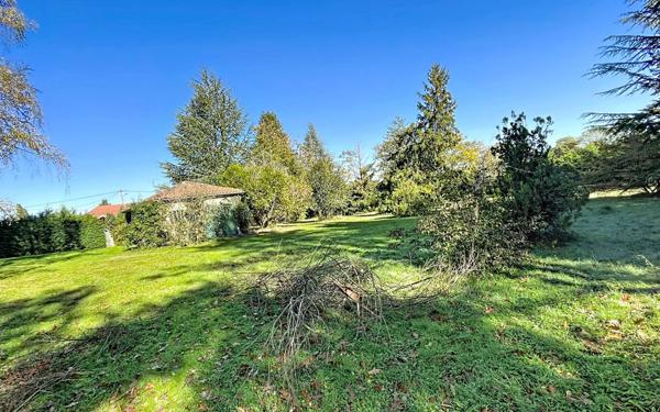 Maison à vendre    7 pièces •  Pinas