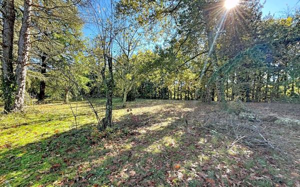 Maison à vendre    7 pièces •  Pinas