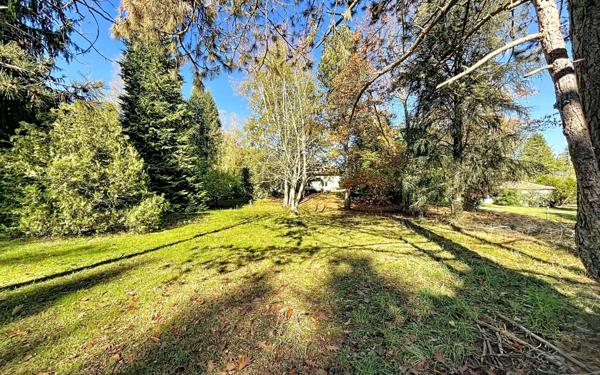 Maison à vendre    7 pièces •  Pinas