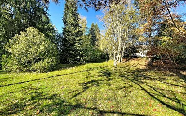 Maison à vendre    7 pièces •  Pinas