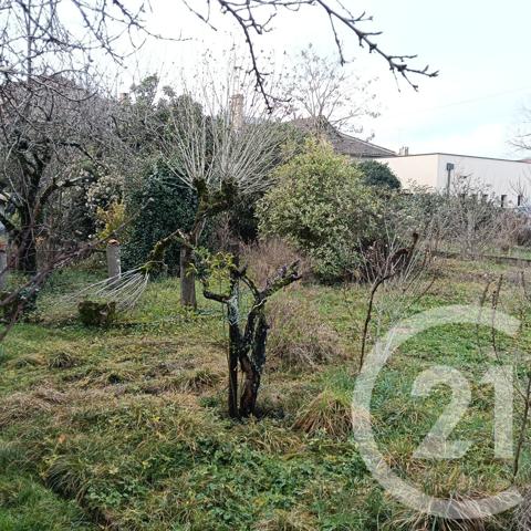 Terrain à vendre  469 m2 GAILLAC - 81