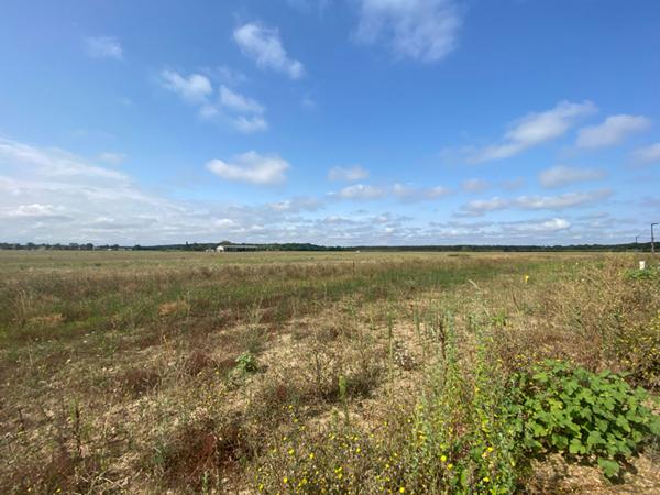 Achat terrain Labastidette - 500 m² - 109 000 €