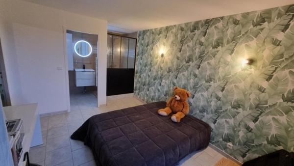 Maison lumineuse avec piscine et grand terrain