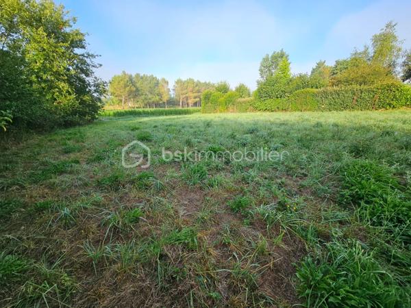 Terrain de 2 120,99 m²