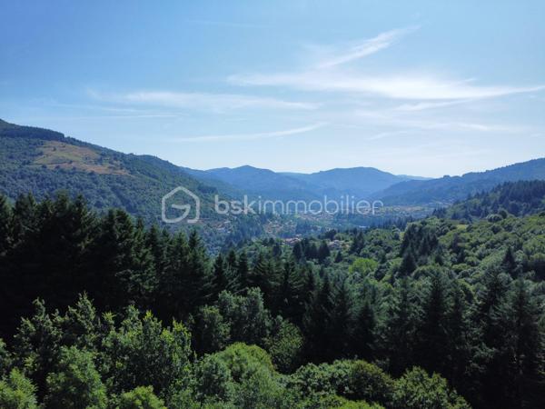 🌿 Maison de caractère avec 4 logements – Vue panoramique – Idéal gîtes, chambres d'hôtes ou investissement

📍 Le Cheylard (07160) – 252 000 €

À seulement quelques minutes du Cheylard, au cœur d'un hameau calme et préservé, venez découvrir cette authentique bâtisse de caractère datant des années 1900. Nichée dans un environnement exceptionnel, elle bénéficie d'une vue panoramique sur la vallée de l'Eyrieux, sans vis-à-vis, offrant un cadre de vie paisible et privilégié.

Mitoyenne uniquement sur une petite partie à l'arrière avec une ancienne grange, cette propriété conserve toute son intimité.

Un cadre naturel rare

🌳 2 500 m² de terrain attenant, idéal pour profiter pleinement des extérieurs.

💧 12 500 m² de terrain non attenant comprenant une source naturelle qui alimente la propriété, avec la possibilité de basculer sur le réseau d'eau de ville grâce à deux vannes.

Une propriété composée de quatre logements indépendants

Cette bâtisse offre une belle modularité et s'adapte à de nombreux projets : résidence familiale, activité de gîtes, chambres d'hôtes ou investissement locatif.

Habitation principale – Duplex d'environ 103 m²
Belle pièce de vie de 35 m² avec cuisine ouverte et salle à manger.
Salon indépendant d'environ 20 m².
Deux chambres de 12 m² et 16 m².
Salle de bains.
Deux WC.
Chauffage par poêle à bois et climatisation réversible.

Appartement T1 d'environ 40 m²
Pièce de vie lumineuse.
Chambre.
Salle d'eau avec WC.
Climatisation réversible.
Ce logement peut facilement être réuni à la maison principale afin de créer une habitation plus spacieuse.

Studio indépendant de 35 m²
Pièce de vie.
Salle d'eau avec WC.
Chauffage électrique.
Entrée indépendante.

Studio indépendant de 36 m²
Pièce de vie.
Salle d'eau avec WC.
Climatisation réversible.
Terrasse privative.

Chaque logement dispose de son entrée indépendante, d'une terrasse ou d'un espace extérieur privatif, permettant d'envisager une exploitation en location saisonnière ou annuelle dans d'excellentes conditions.

Les atouts de la propriété

✅ DPE : C

✅ Source naturelle alimentant la maison.

✅ Possibilité de raccordement au réseau d'eau de ville.

✅ Assainissement individuel conforme.

✅ Taxe foncière : seulement 600 €.

✅ Vue exceptionnelle sur la vallée de l'Eyrieux.

✅ Environnement calme, sans vis-à-vis.

Un fort potentiel

Que vous soyez à la recherche d'une résidence principale avec revenus complémentaires, d'une résidence secondaire familiale ou d'un projet touristique (gîtes, chambres d'hôtes ou location saisonnière), cette propriété offre de nombreuses possibilités d'aménagement.

Quelques travaux de finition permettront de révéler tout le charme de cette bâtisse et de valoriser pleinement son potentiel.

Afin de faciliter votre projection, certaines photos de l'annonce présentent un home staging virtuel, illustrant différentes possibilités d'aménagement des espaces.

Une propriété rare sur le secteur, alliant authenticité, nature et potentiel de rentabilité.