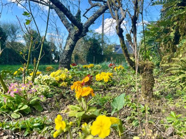 Maison centre ville de Questembert 3 chambres 96 M2