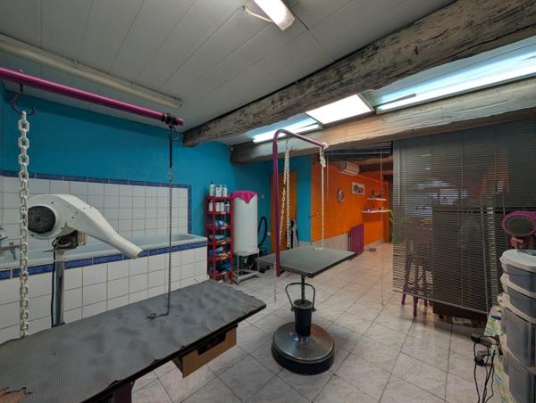 Vente murs / Local Commercial à Pézenas (34120)