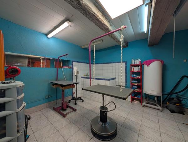 Vente murs / Local Commercial à Pézenas (34120)