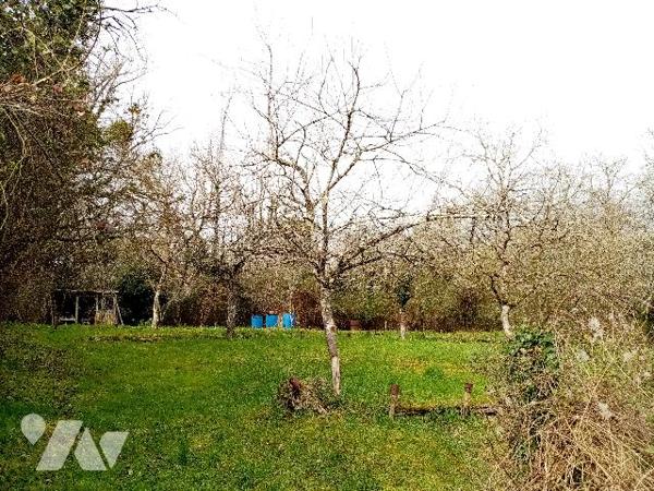 MAISON à 9 km de LA CHARITE