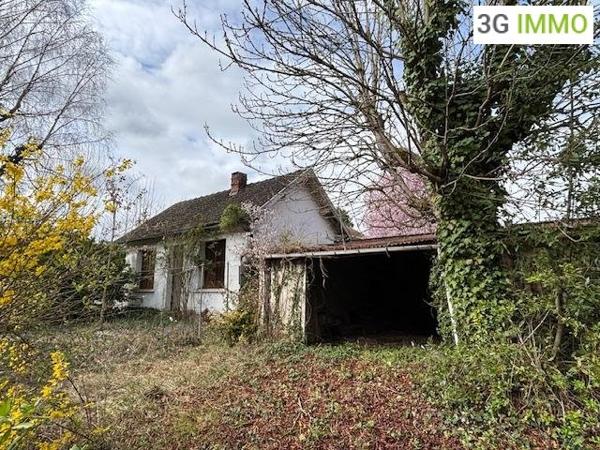 Vente / Ensemble de 2 maisons