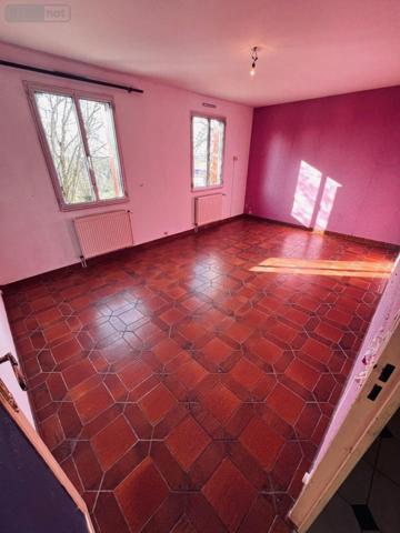 Maison à vendre à Pellevoisin dans l'Indre (36180), ref : 016/408