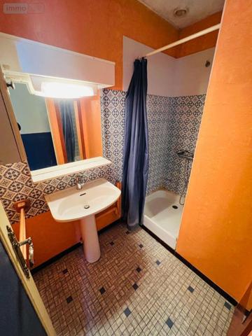 Maison à vendre à Pellevoisin dans l'Indre (36180), ref : 016/408