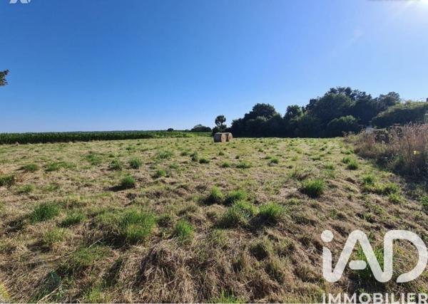Terrain à vendre 1 339 m² Lannebert