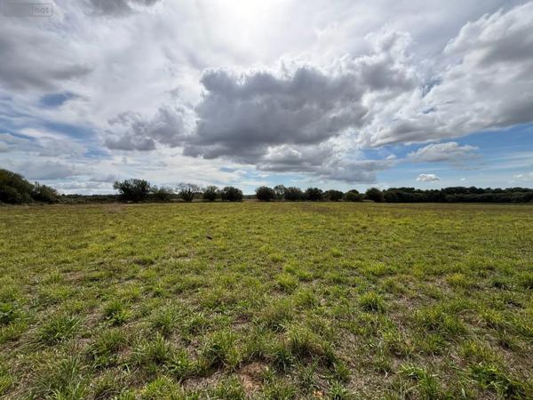Achat - Maison | Maison rurale Ploudaniel 29260 6 pièces 106 m 2 24368 m 2