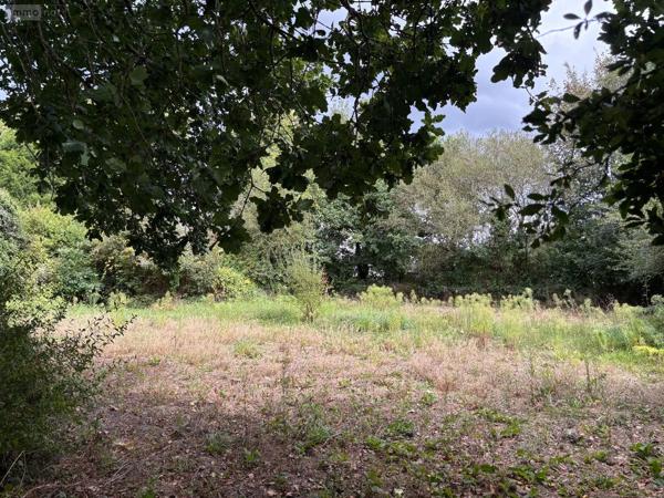 Achat - Maison | Maison rurale Ploudaniel 29260 6 pièces 106 m 2 24368 m 2