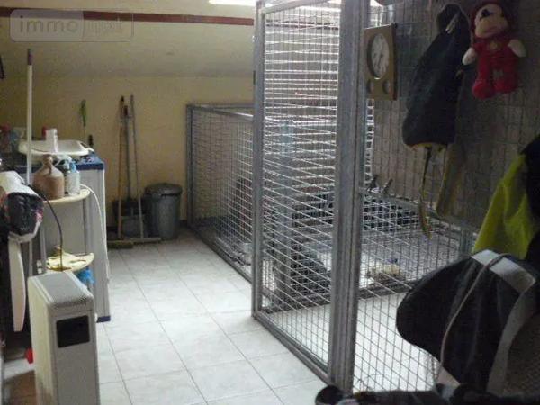 Achat - Maison | Pavillon Rambervillers 88700 7 pièces 140 m 2 3482 m 2