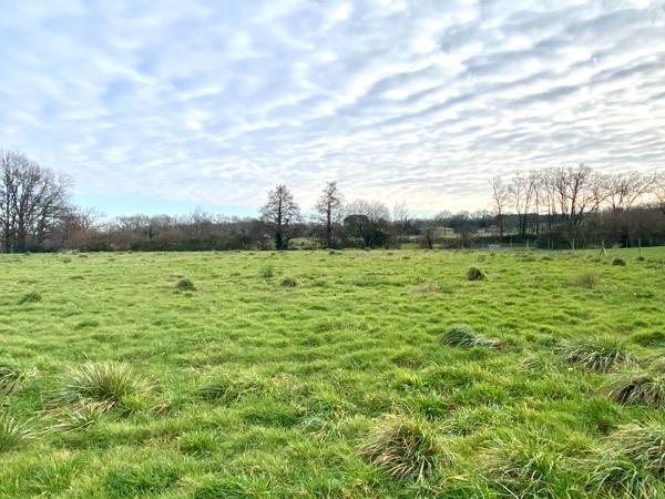 Terrain plat 2740 m² à 5 minutes d'Hagetmau