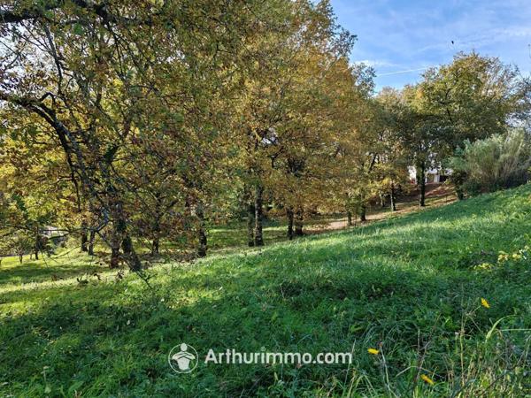 Vente Terrain 2314 m2 à Carmaux