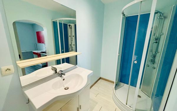 Maison à vendre    7 pièces • 227 m2 Luché-Pringé