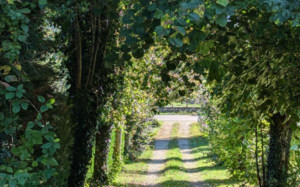 Maison à vendre    4 pièces • 138 m2 Simandre-sur-Suran