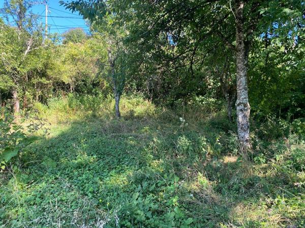 Terrain constructible 1294 m2