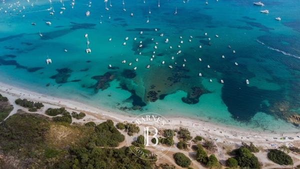 Sainte-Lucie-de-Porto-Vecchio, Terrain constructible  2 059 m² à vendre
