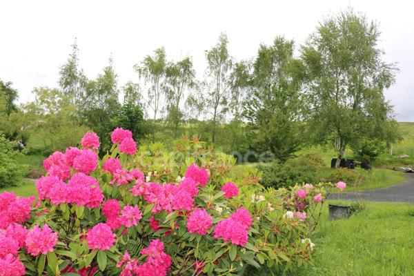 Maison à vendre 7 pièces QUIMPER (29) Ossature bois, panneaux solaires sur 12530 m2 de terrain